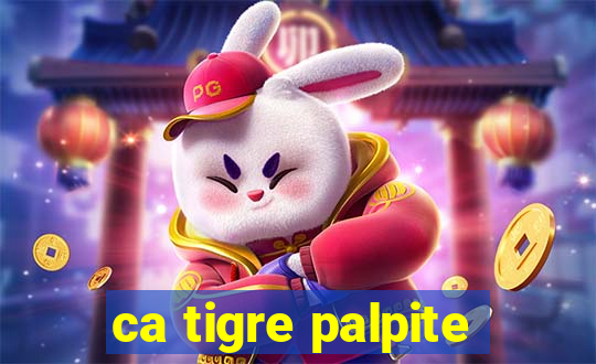 ca tigre palpite